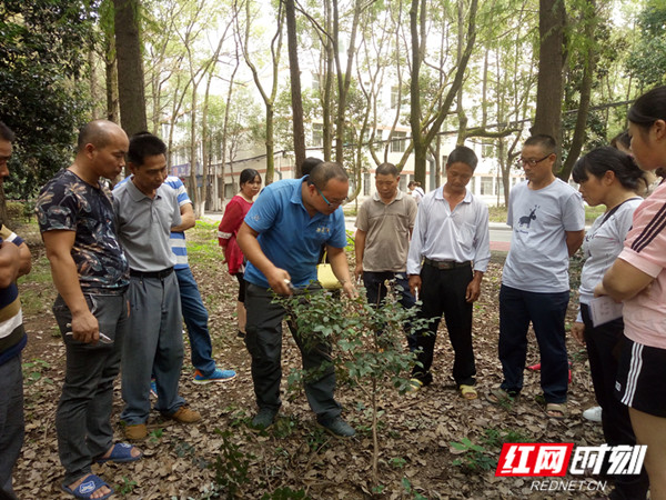 常德西湖60名建档立卡移民添"绿化工"技能