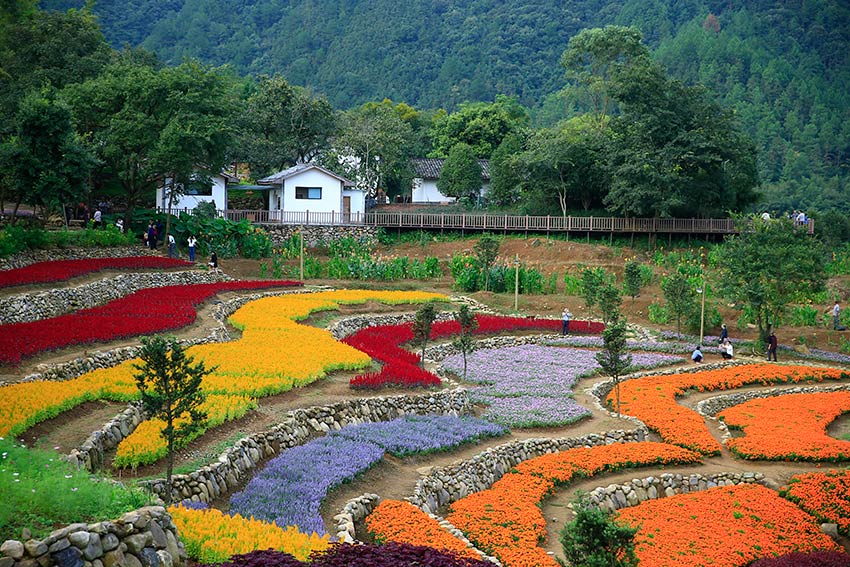 美丽乡村江西大龙村待到山花烂漫时必约此处来