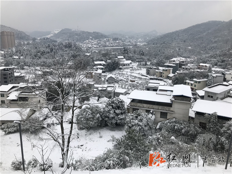 大坡气象公园白雪皑皑/组图 - 吉首市站