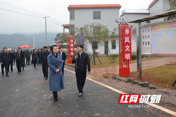 参观蓝山县塔峰镇舜水田园产业建设和新农村建设示范村八甲村.jpg