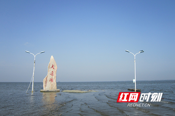大通湖治理两周年:恢复自由身,水草"疗伤"初见成效