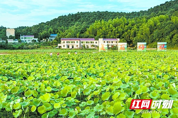 湘潭12个村(社区)获评市级"同心美丽乡村"