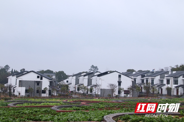 华容县三封寺镇墨山铺村的九级梯田及徽派建筑风格的村民房屋.