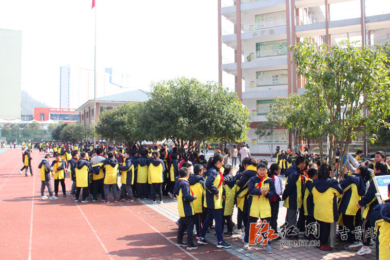 双手努力营造一个良好的环境,3月12日,吉首市第八小学以植树节为契机