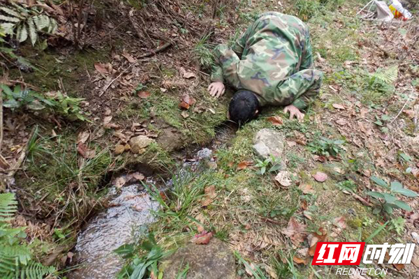 胡小雄:扎根深山32年的株洲护林员,守护一方绿色