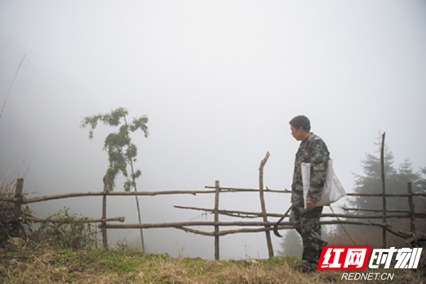 胡小雄:扎根深山32年的株洲护林员,守护一方绿色