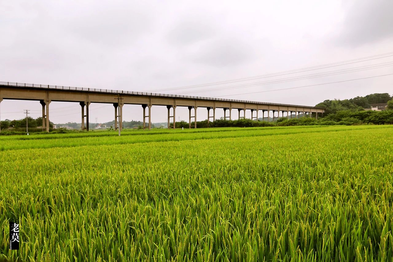 韶山灌区