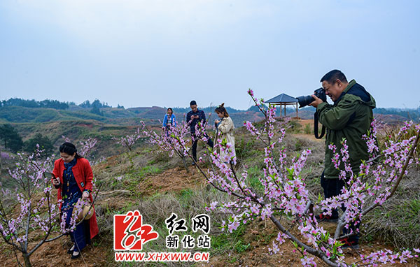 网讯(记者 黎明明)3月27日,在新化县科头乡廖家村及周边村落的山头上