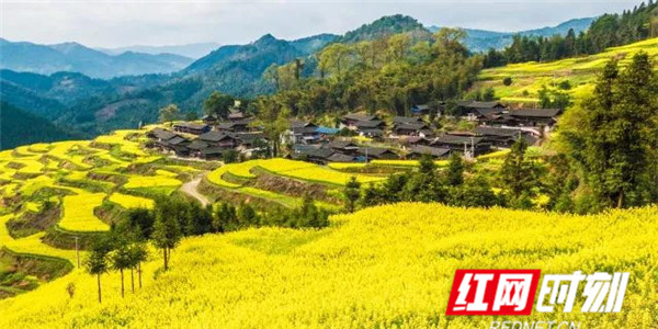 3月29日,芷江侗族自治县碧涌镇第二届乡村旅游文化节在哨田村黄沙