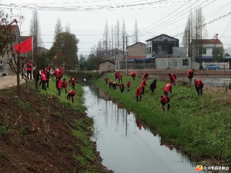 春天,我和"紫南"有个约会 - 华容县站