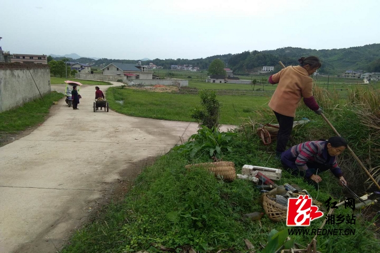 整治办:湘乡市农村人居环境整治火热进行时 红网湘乡站