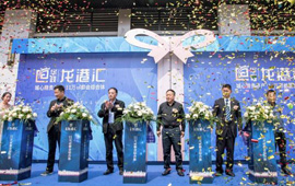 筑梦龙港路 再造城市心