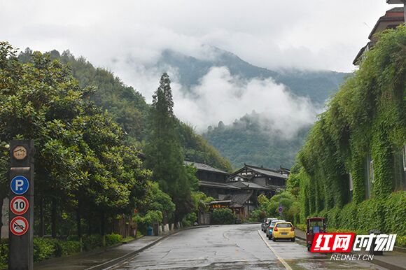 重庆市南川区金佛山景区.摄/符洹雨