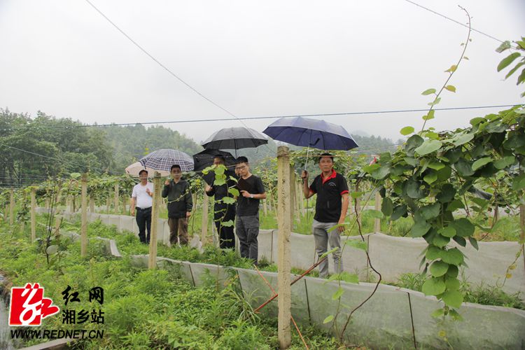 红网湘乡市分站6月6日讯(记者:陈茂)近日,湖南警察学院大学生"三下乡"