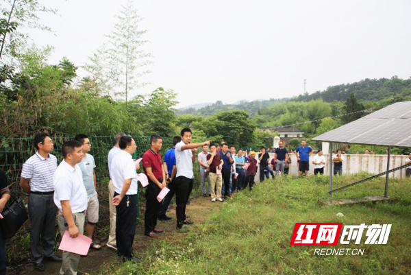 与会人员在衡南县云集镇神龙村参观光伏电站.