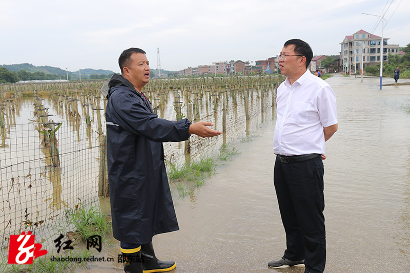 刘永格到牛马司检查指导防汛工作