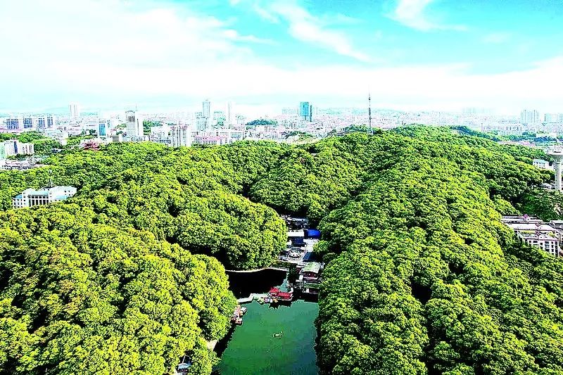 人防要闻 正文今天,为大家介绍的是岳阳金鹗公园开放式人防宣传教育