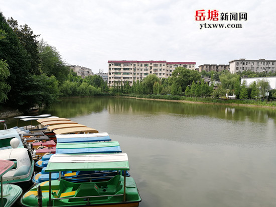 县市区动态 岳塘区 正文近日,我们在湘潭市岳塘区岳塘街道菊花塘公园