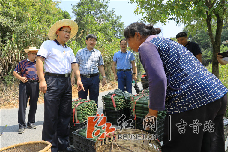 刘珍瑜调研马颈坳镇精准扶贫工作