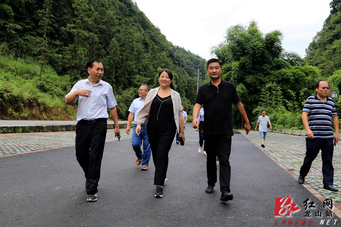 红网时刻湘西8月29日讯(龙山分站记者 彭杰)8月28日,龙山县委副书记