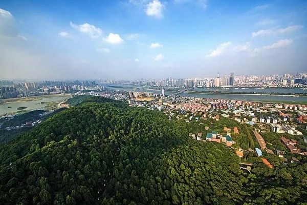 岳麓山全景  /图:岳麓区政府网