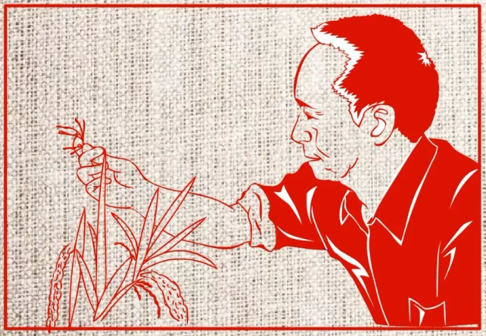 袁隆平他一生致力于杂交水稻技术的研究,应用与推广发明"三系法"籼型