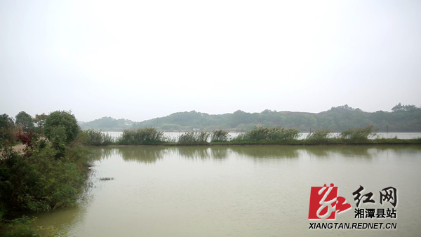 云湖桥镇芦塘村:企业引进来 群众富起来_时政_湘潭县