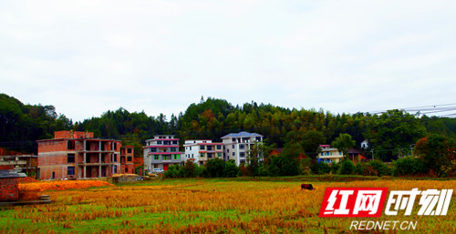 隆回中黄信村:藏在十重大界下的秀美乡村_隆回县_湖南