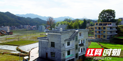 隆回中黄信村:藏在十重大界下的秀美乡村_隆回县_湖南