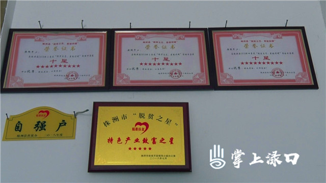【不忘初心】养鸭助致富勤劳早脱贫哪个好初中私立邢台图片