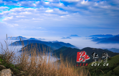 (通讯员 彭华)11月30日,初冬时节,游客在蓝山县云冰山风景区观光游玩