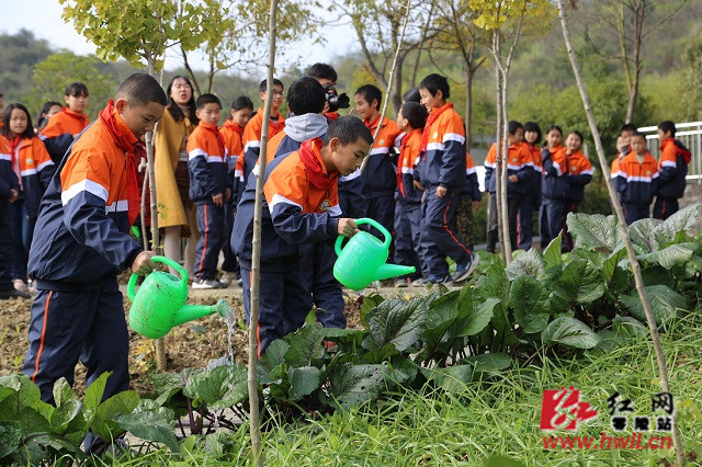 零陵:学农基地让"安静"的长岭完小动了起来