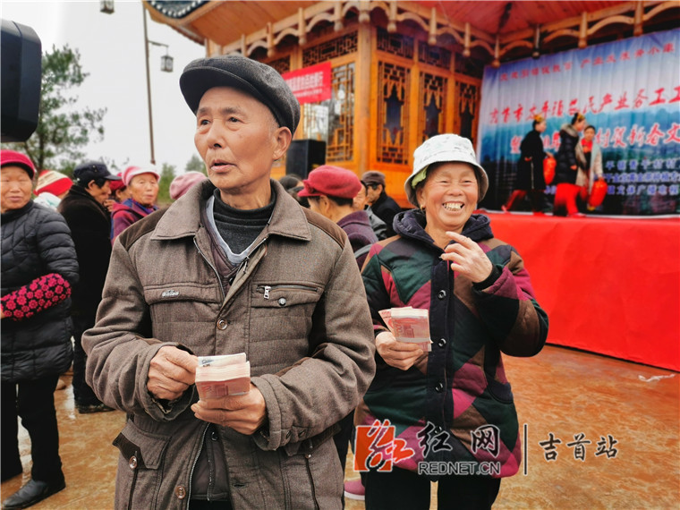 吉首太平镇黄金茶铺就脱贫致富黄金路