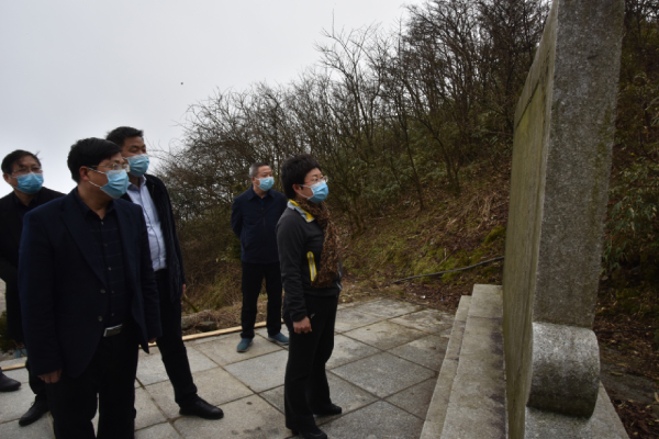 涟源市委书记谢学龙(右一)在龙山国家森林公园调研指导旅游项目建设