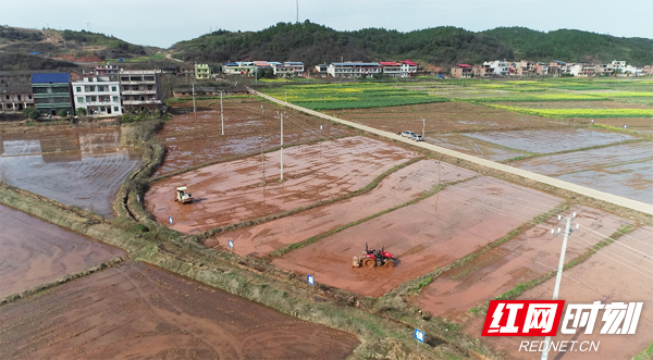 2月28日,耒阳市遥田镇红桥村现代农业综合示范基地的稻田.