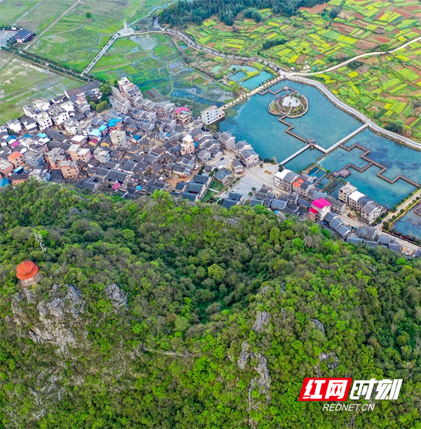 (通讯员 蒋克青 何忠军)2020年3月8日,湖南省永州市道县清塘镇楼田村