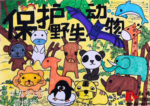 湘潭大学子弟学校师生自创歌曲宣传画号召保护野生动物图