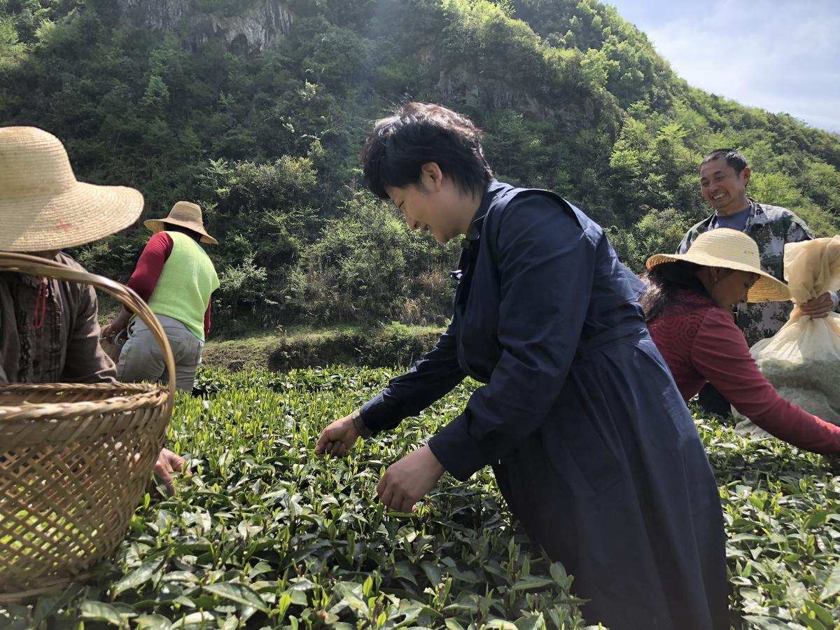 出社会以后-挂机方案“清零举措”解释为民情怀——湖南推进办理“两不愁三保障”突出题目纪实 ...挂机论坛(2)