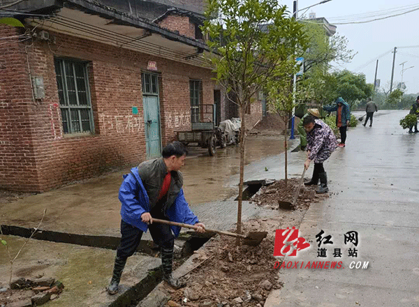 道县多地开展植树活动 为大自然添新绿