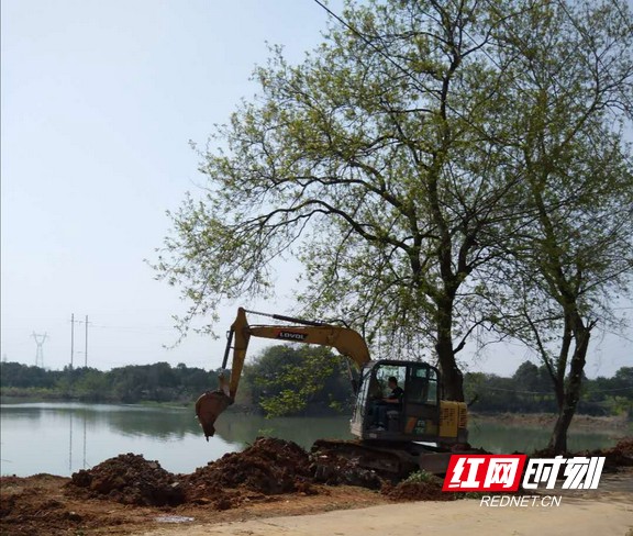 琼湖街道小河咀村环湖生态廊道提质升级中.