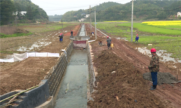 高标准农田项目建设现场,一排排生态砖已铺砌完毕,工人们忙着修建灌溉