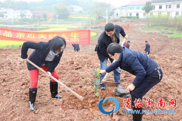 3月18日上午,长沙市司法局,浏阳市政协,浏阳市司法局,浏阳市沙市镇