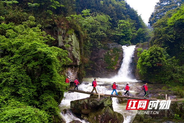 旅游资讯 - 怀化麻阳之春:长寿麻阳 常来长寿