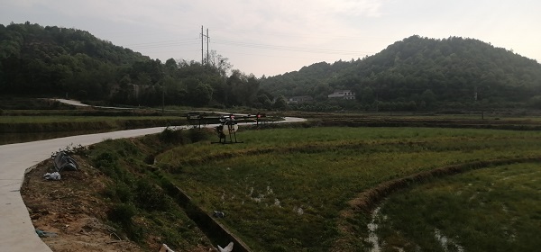 的年轻人有了施展抱负的新天地 坪塘街道白泉村90后戴胜夫妻便在其中