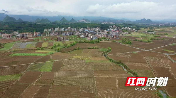 扶贫印记丨临武西瑶乡香花镇万水乡基础设施完善产业带头致富