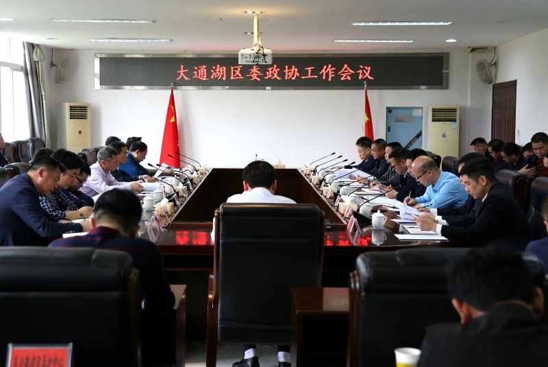 大通湖区委政协工作会议召开