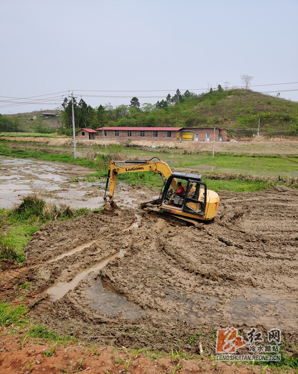 冷水滩区牛角坝镇微信群里闹春耕田间地头皆风景