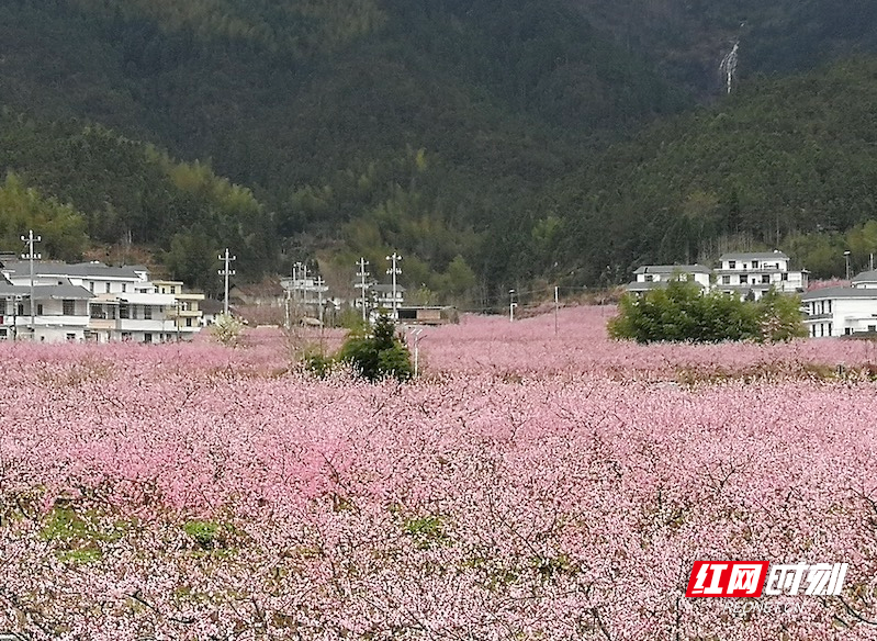 郴州桂东:老龚脱单变"老公" 青竹村脱贫幸福事