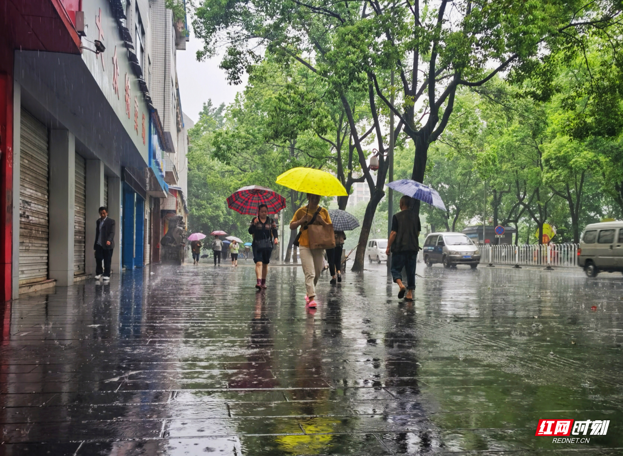 6日早上,下雨的吉首街头.摄 刘玥