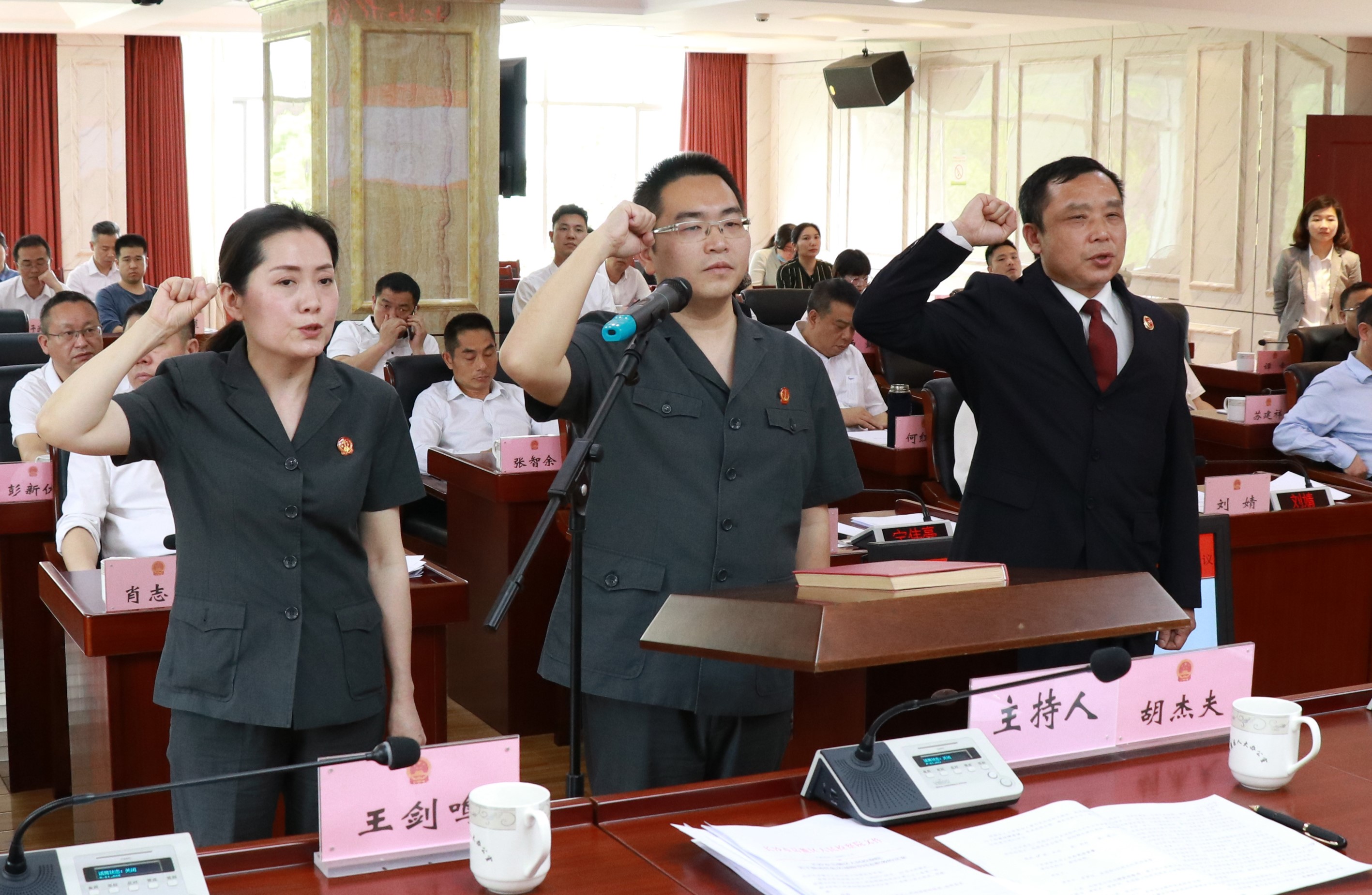 长沙市岳麓区第五届人大常委会 第三十二次会议相关人事任免